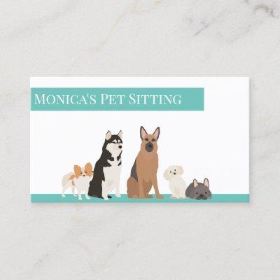 Pet Sitting Dogs Training Grooming Daycare