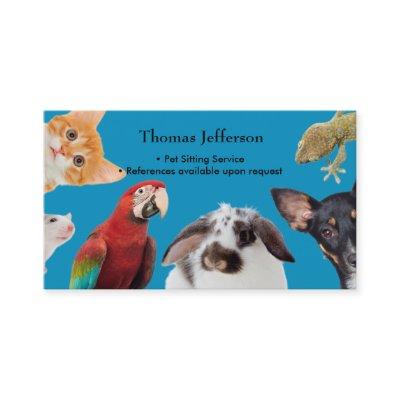 Pet Sitting Service