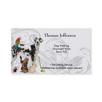 Pet Sitting Service