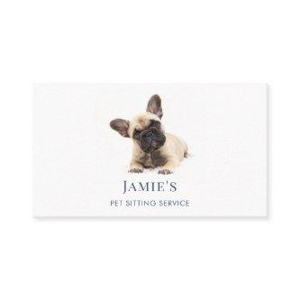 Pet Sitting Service