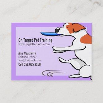 Pet Training Dog Trainer Jack Russell Terrier