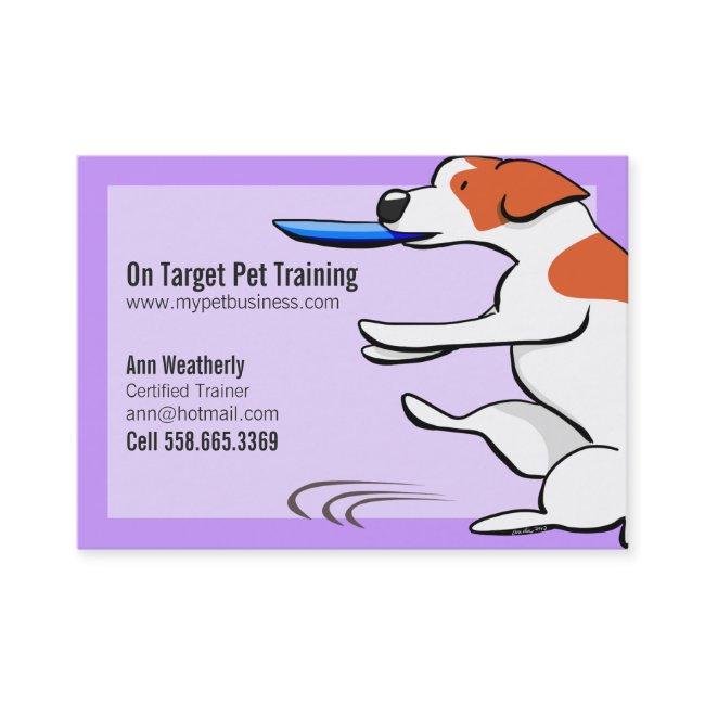 Pet Training Dog Trainer Jack Russell Terrier