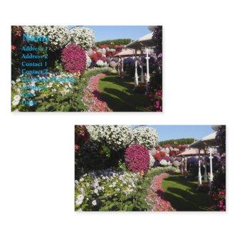 Petunias