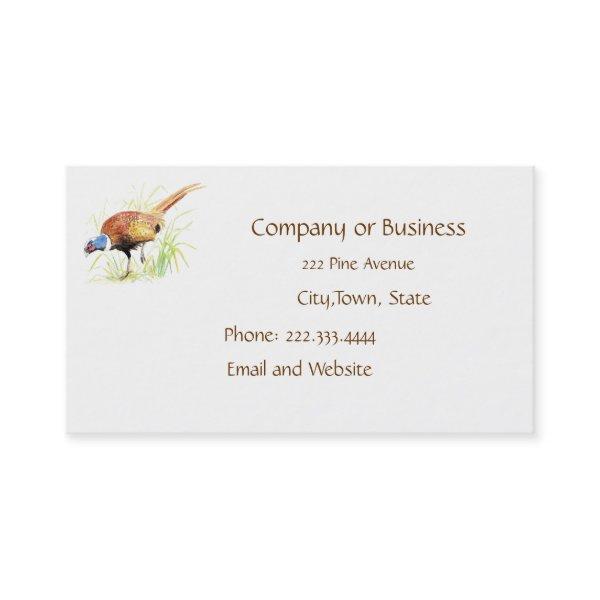 Pheasant, Bird, Nature, Environment