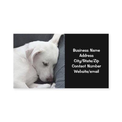 Photo of Cute Dog Sleeping Black and White