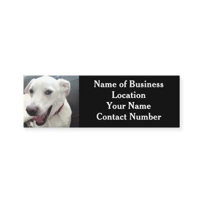 Photo of Cute Funny White Dog Black Mini