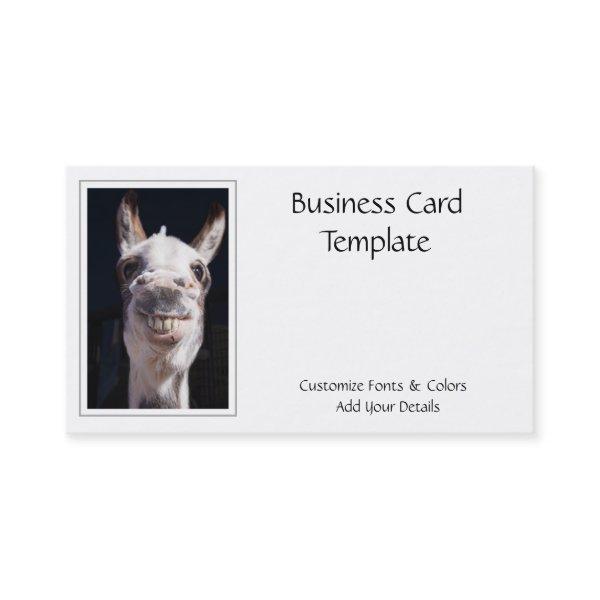 Photography Smiling Donkey