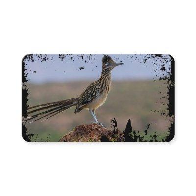 Picture Nature Desert Bird Roadrunner