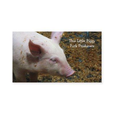 Pig Farmer - Cute Piglet Photograph