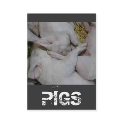 Pile of Piglets Pig Farm or Ranch