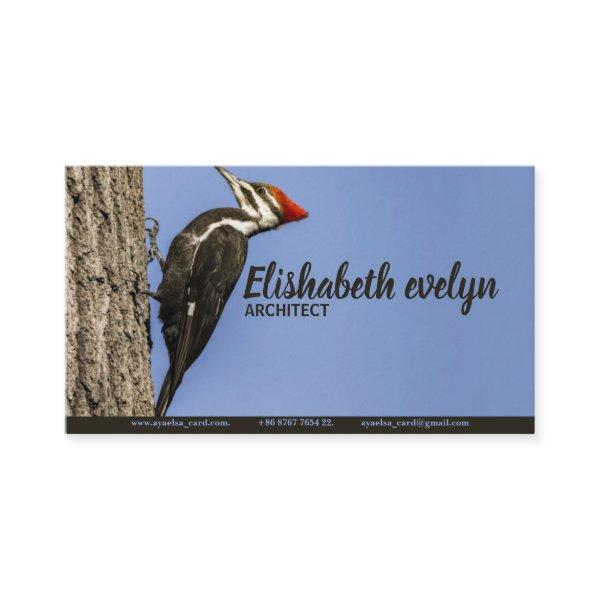 Pileated Woodpecker
