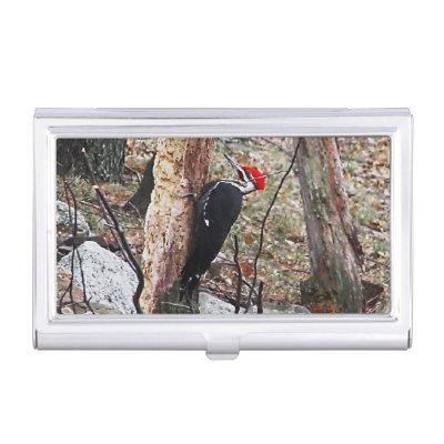 Pileated Woodpecker  Case