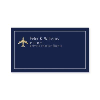 Pilot Private Charter Flights