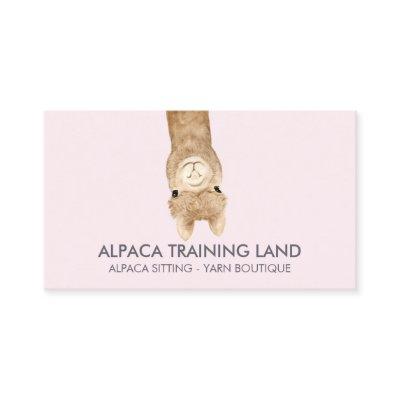 Pink Beige Cute Alpaca