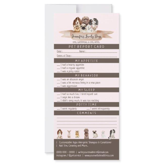 Pink Brown Pet Report Boarding Dog Grooming