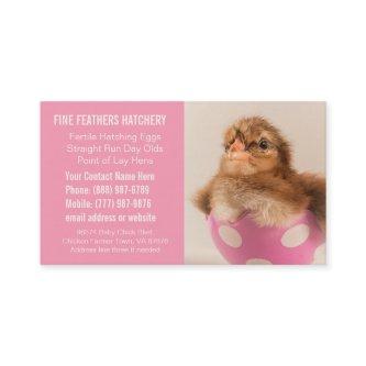 Pink Chick Hatchery Business for Women