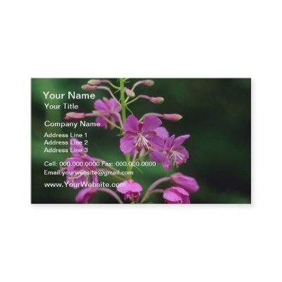 Pink Fireweed flowers
