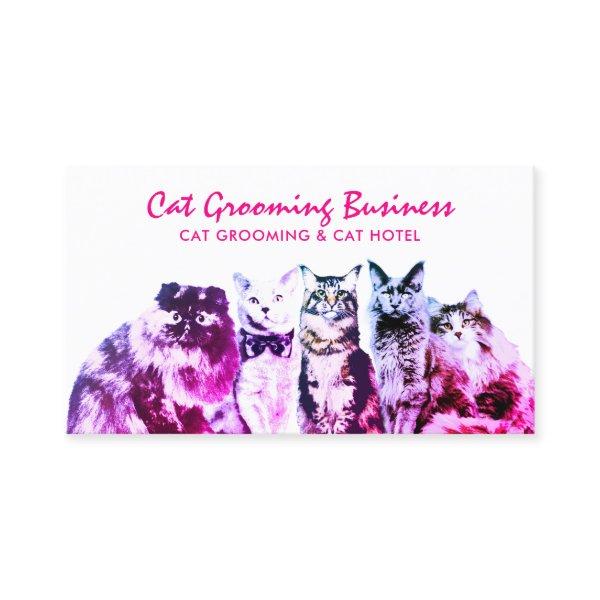 Pink Grooming Salon Spa Cats