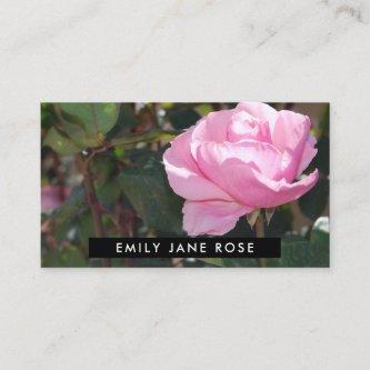 Pink Rose, Floristry