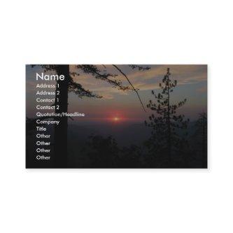 Pink Sunset With Pine Tree And Clouds At Yosemite
