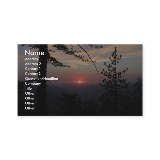 Pink Sunset With Pine Tree And Clouds At Yosemite