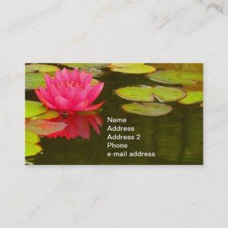 Pink Water Lily on Pond Customizable