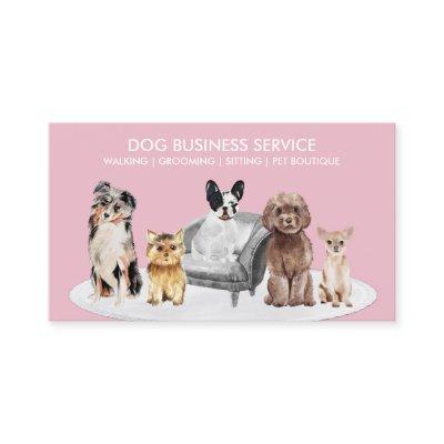 Pink White Dog Behaviorist