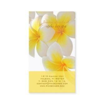 PixDezines Hawaii Plumeria
