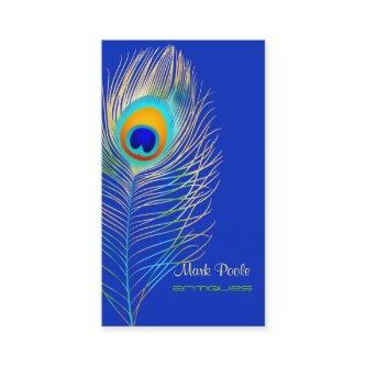 PixDezines Peacock Aqua Blue/DIY cobalt background