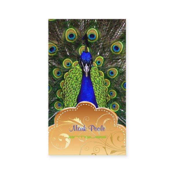 PixDezines Peacock+filigree swirls