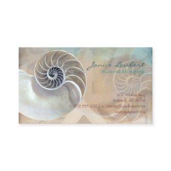 PixDezines Under the Sea, Nautilus