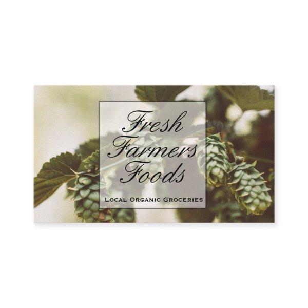 Plant Buds | Barley Wheat Hops