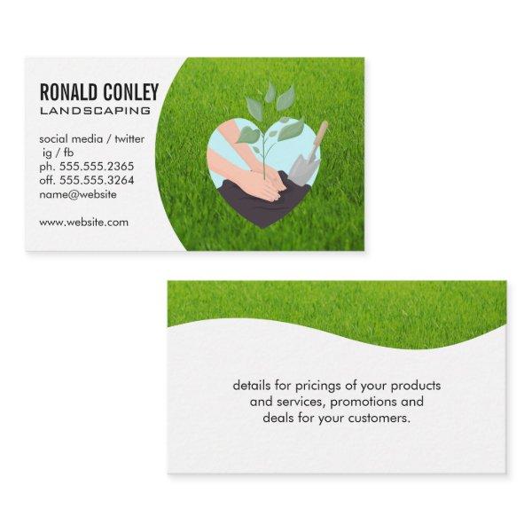 Planting a Tree | Grass