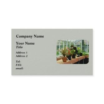 Plants in Greenhouse