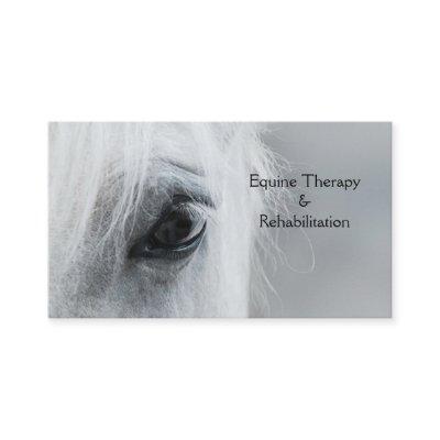 Platinum Horse Personalize
