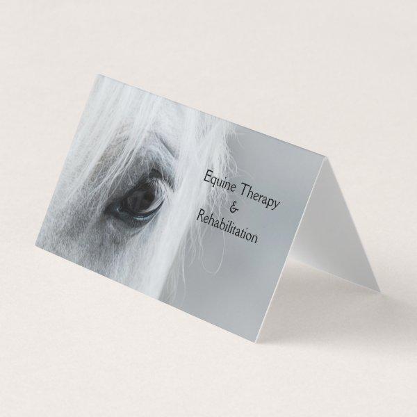 Platinum Horse Personalize