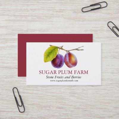 Plum stone fruit farm fruit suppliers