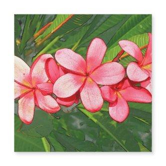 Plumerias