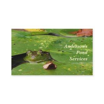 Pond Services
