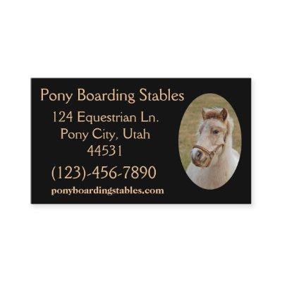 Pony Sample1