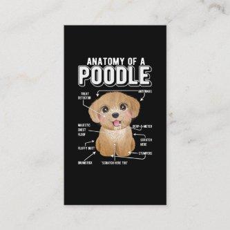 Poodle Anatomy Funny Dog