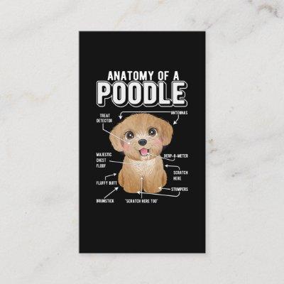 Poodle Anatomy Funny Dog