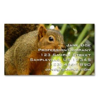 Portrait of a Squirrel Nature Animal Photography  Magnet