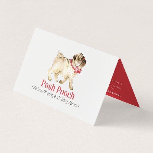 Posh pooch cute pug dog walking services