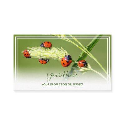 Positive lucky ladybugs for healthy well being