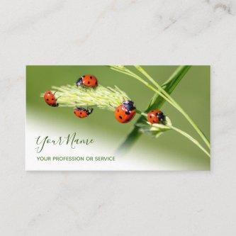 Positive lucky ladybugs for healthy well being