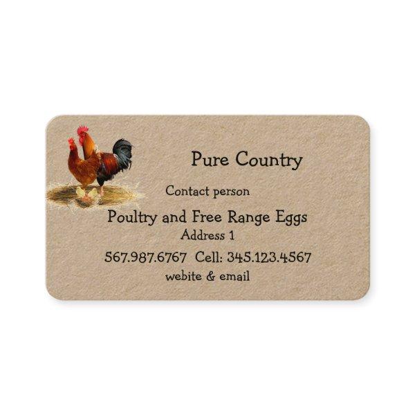 Poultry, Chicken, Eggs Free Run, Organic Business