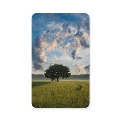 Prayer Cards | Lone Tree 1 Deluxe