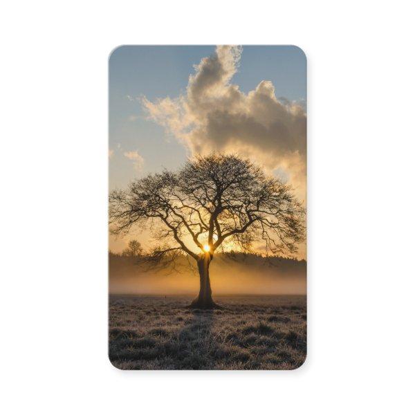 Prayer Cards | Lone Tree Deluxe 01