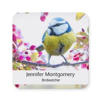 Pretty Blue & Yellow Bird on a Branch Photograph Square